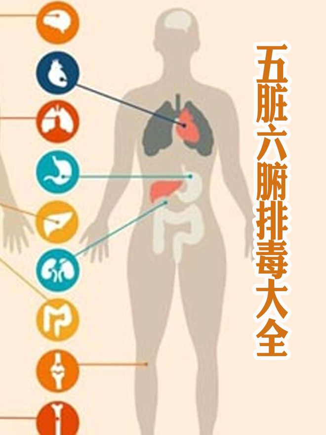 岁去世的林海峰用生命提醒大家没事别瞎搞麻将胡了app了不起的养生大师！51(图12)